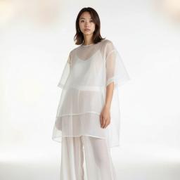 Sheer Fashion Moment